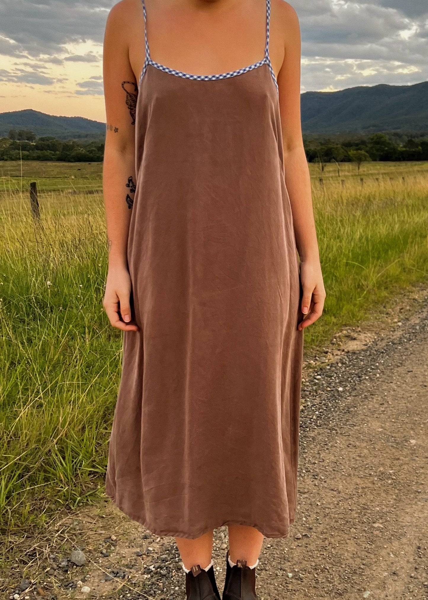 Brown + Blue Gingham Slip Dress